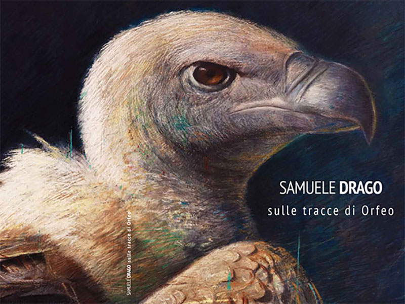 Al momento stai visualizzando Mostra “Samuele Drago. Sulle tracce di Orfeo”